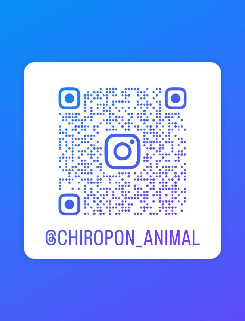 動物たち